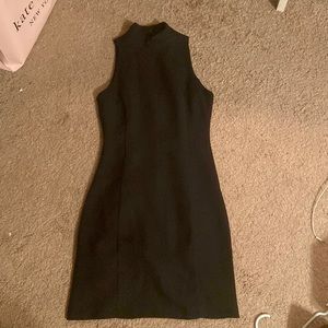 Beechers Brook fitted dress